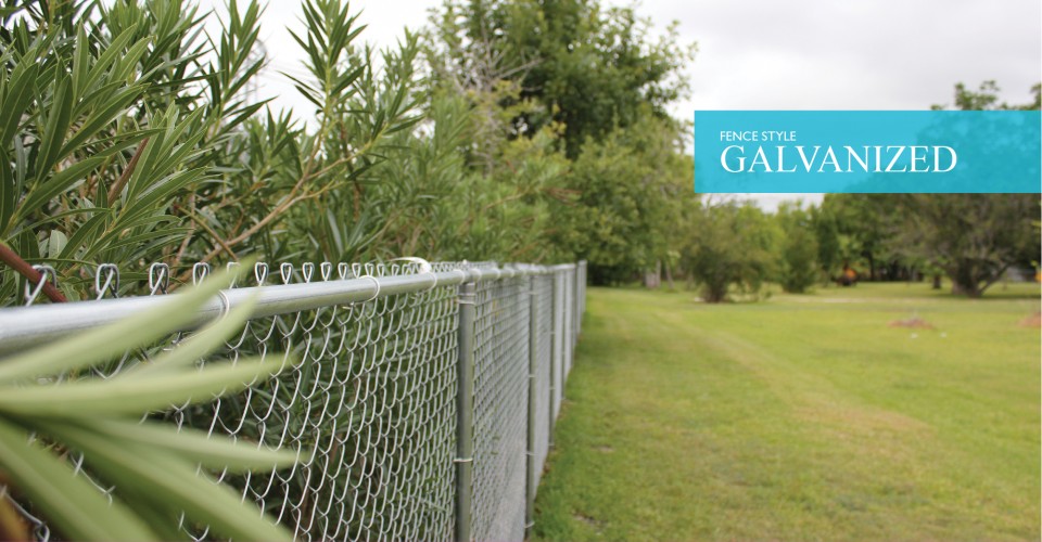 Chain Link Fence