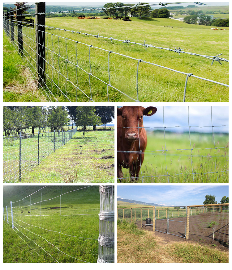 farm fence