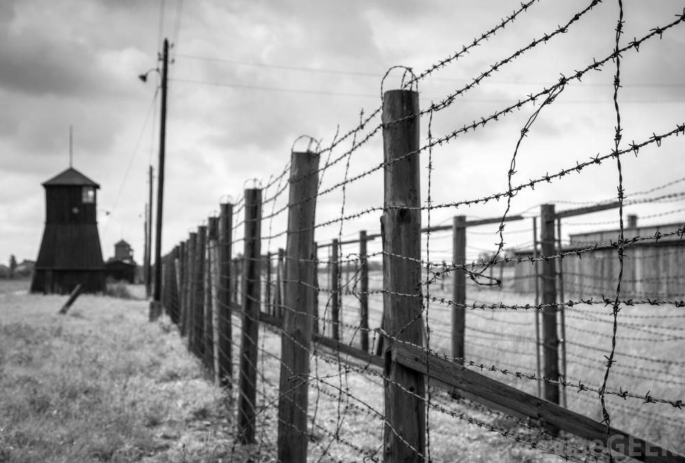 Barbed Wire Does Not Stop Bullets, But Why Are Soldiers Afraid?