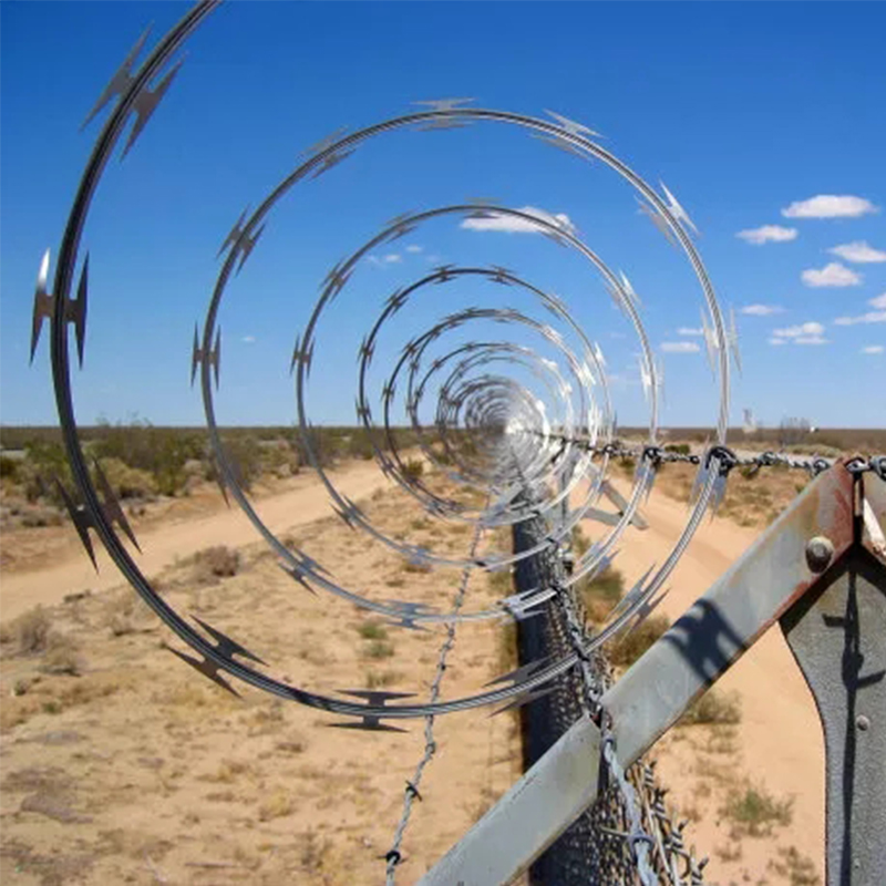 Barbed Wire Does Not Stop Bullets, But Why Are Soldiers Afraid?