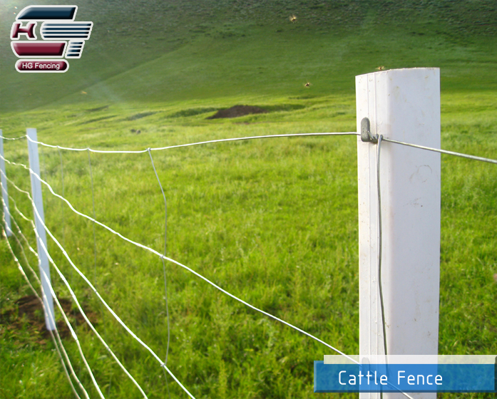 Grassland cattle fence