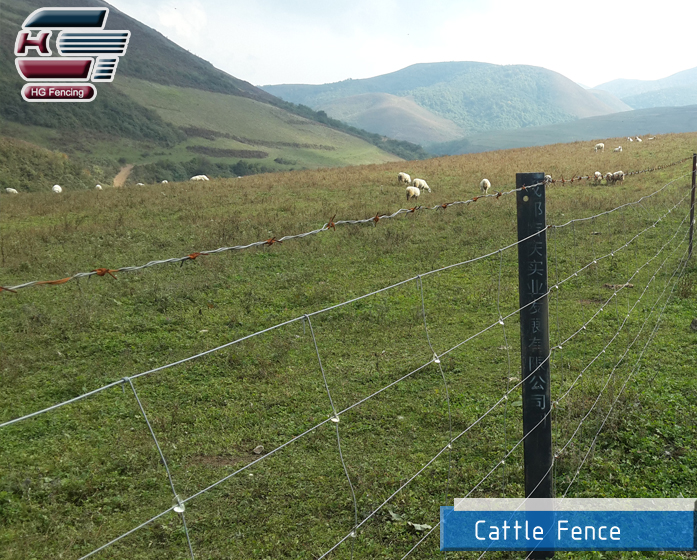 Grassland cattle fence