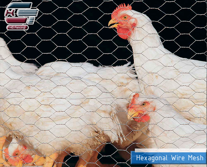 Introduction to Hexagonal Wire Mesh, Direct Manufacturer of Hexagonal Wire Mesh - Hua Guang Fencing