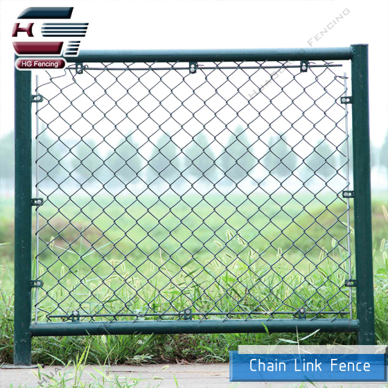 Chain Link Fence2.jpg
