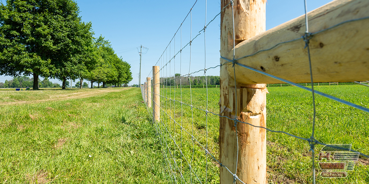 field fence0.jpg