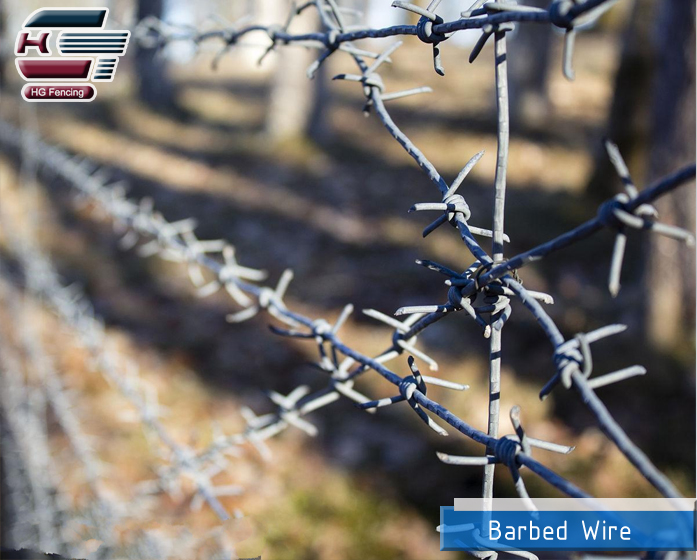 Barbed Wire2 (2).jpg