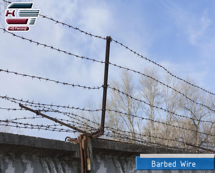 Barbed wire6.jpg