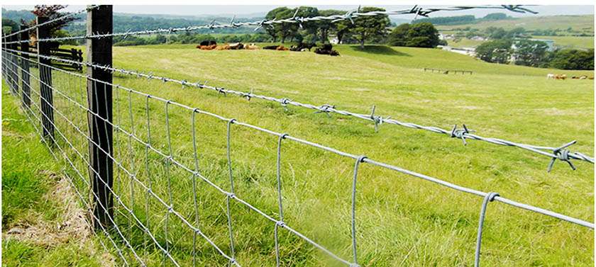 Grassland Fence with Field Fence