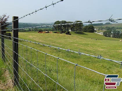 Field Fence with barbed wire