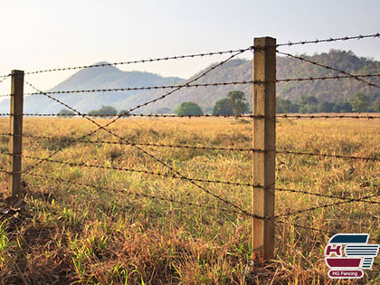 Barbed Wire Fence