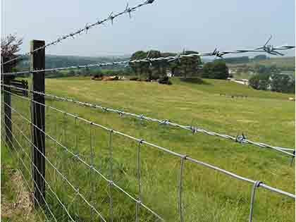 Barbed wire installation on field fences