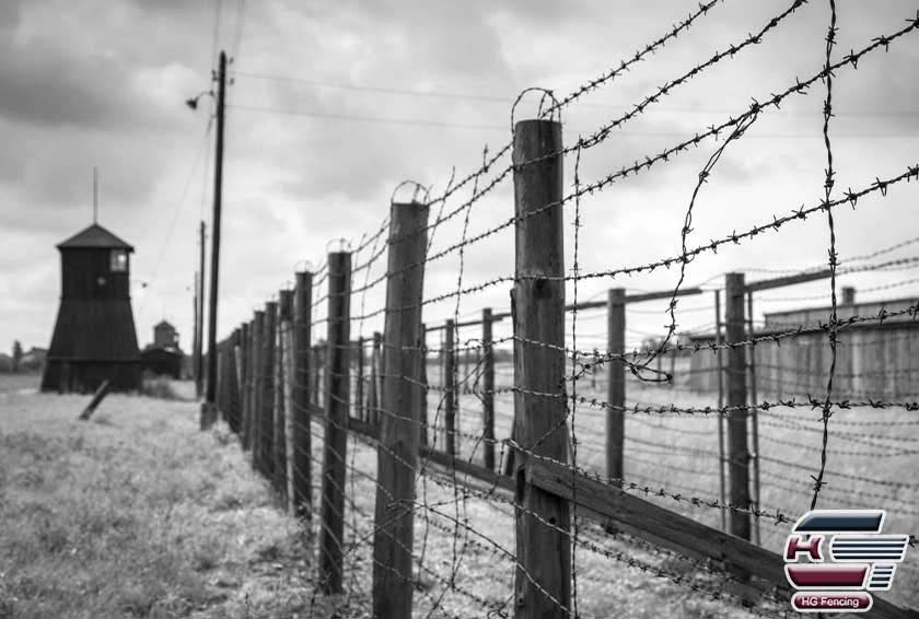 Barbed Wire Fence