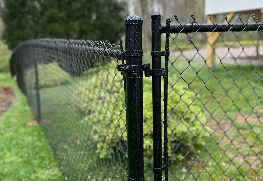 PVC Coated Black Chain Link Fence