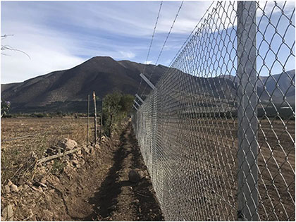 Galvanized Chain Link Fence (Cyclone Wire Fence) with barbed wire for Road fencing