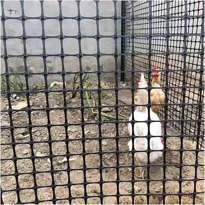 Plastic mesh fencing used as poultry mesh fence