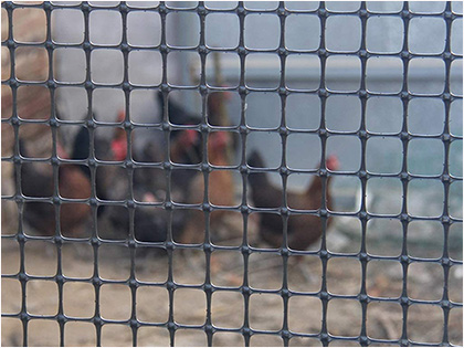 Plastic Chicken Wire fence