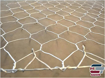 Detail of Galvanized Gabion Mesh