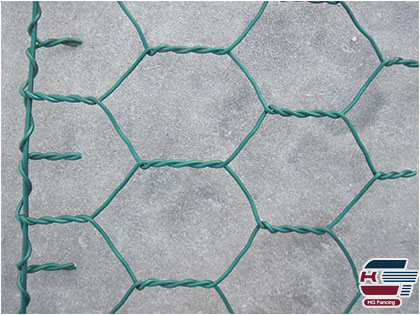 detail of PVC coated gabion mesh