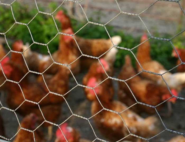 The advantage of gabion box eco-grid structure