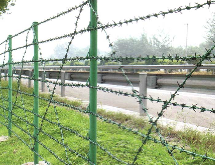 What is the difference between the barbed wire and wire mesh fence（Ⅱ）？