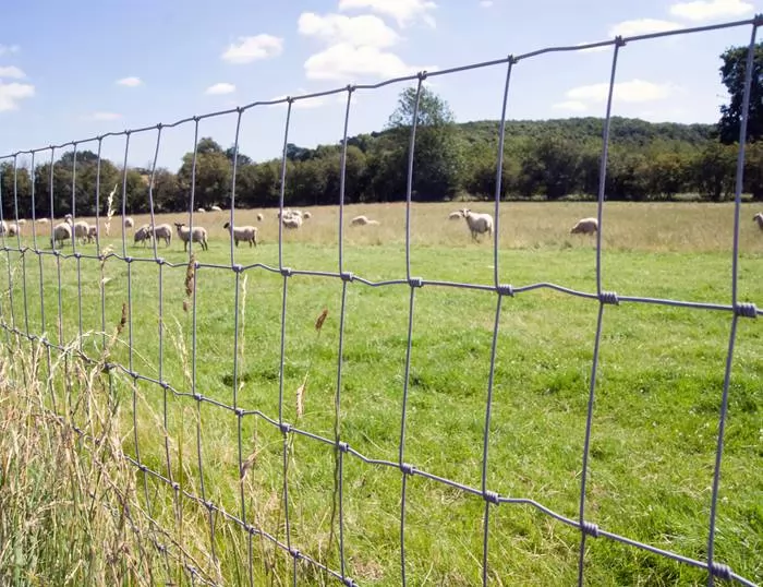 Field Fence