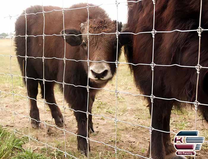 Advantages and Types of Field Fencing