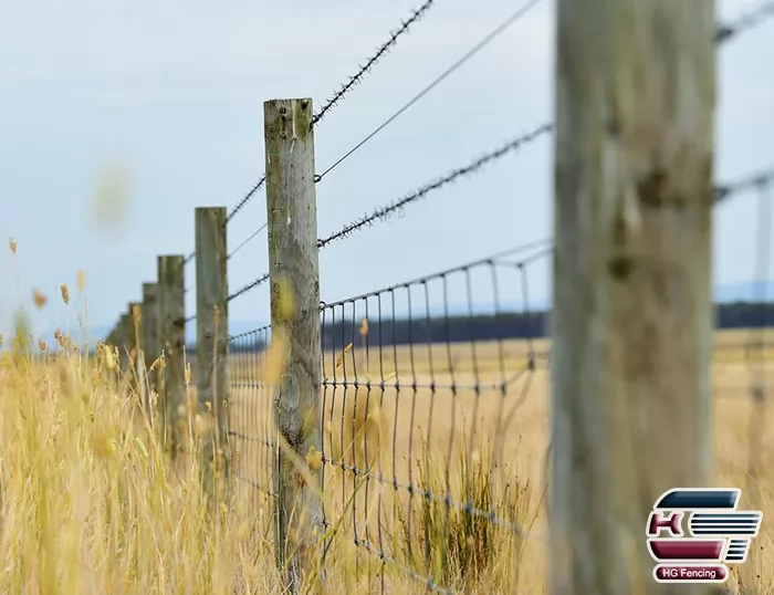 barbed wire