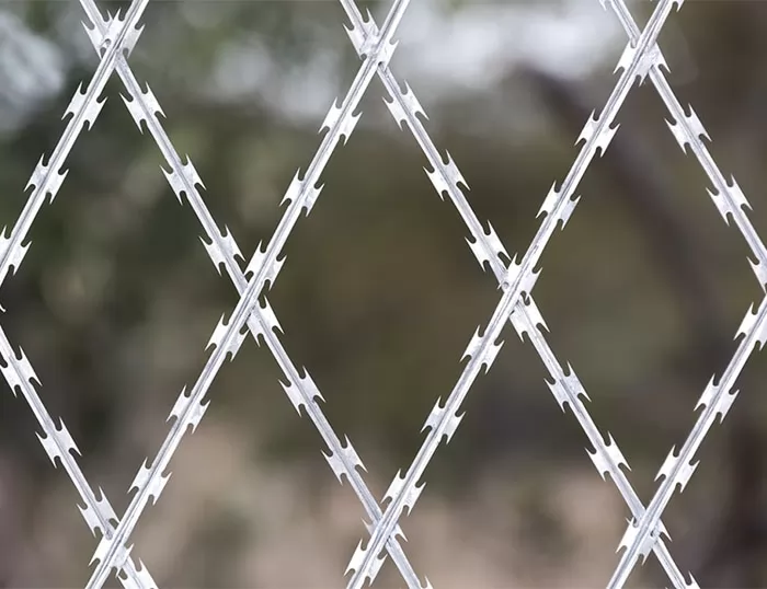 Razor Wire Fence