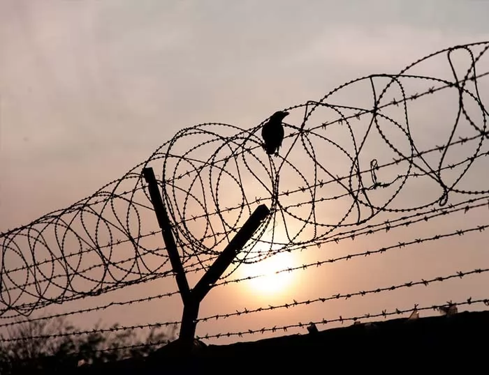 Razor Barbed Wire