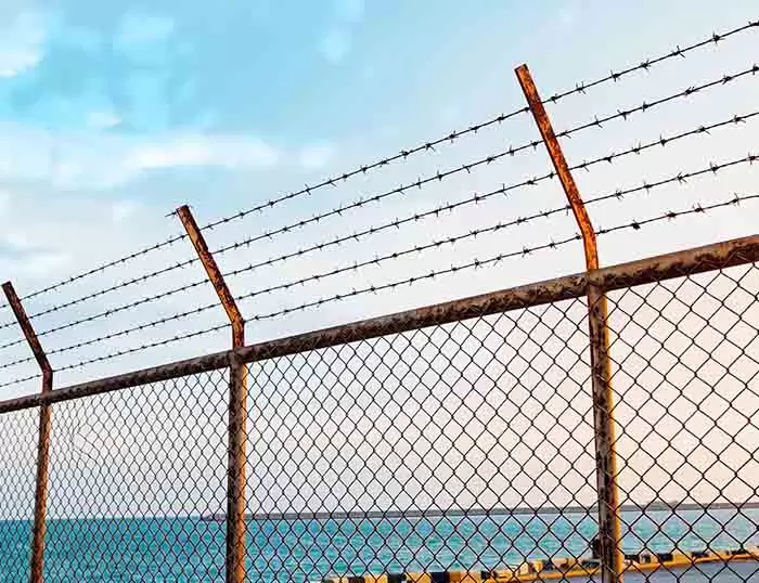 PVC Coated Chain Link Fence with Barbed Wire