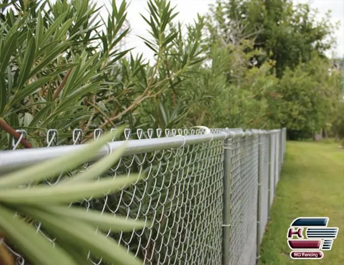 Cyclone Wire Fence used as residential fence